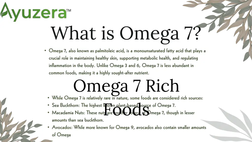 what is omega 7