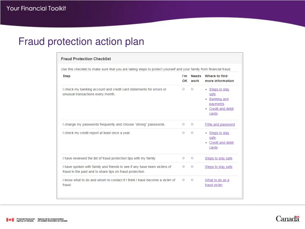 fraud protection action plan