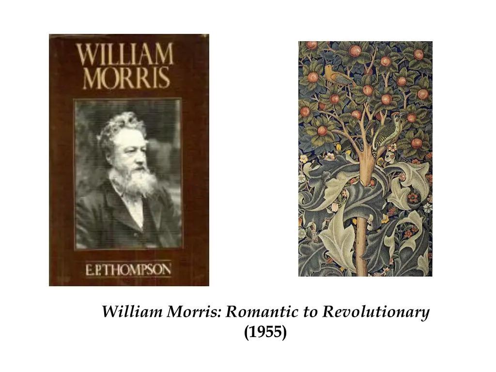 william morris romantic to revolutionary 1955