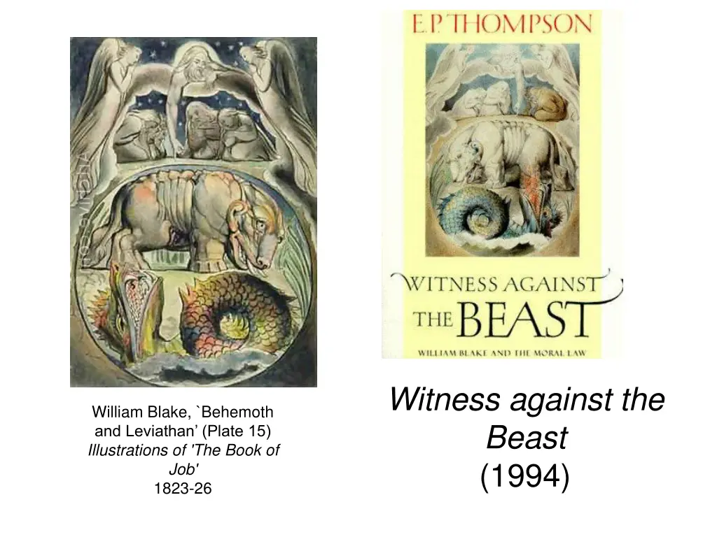 witness against the beast 1994