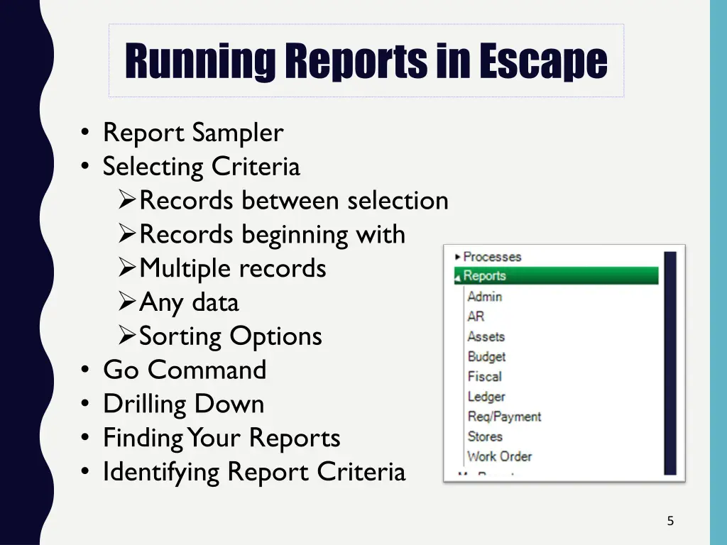 running reports in escape