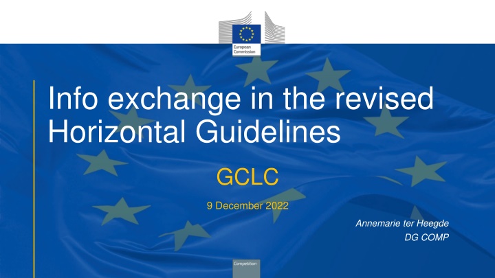 info exchange in the revised horizontal guidelines