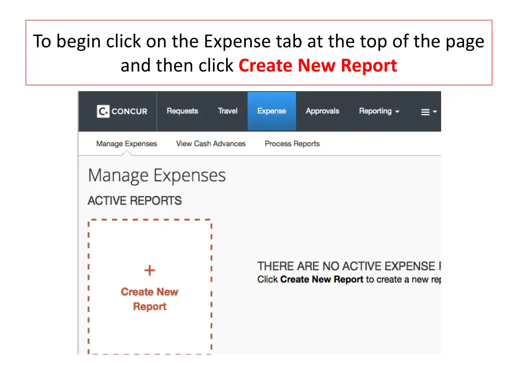 to begin click on the expense