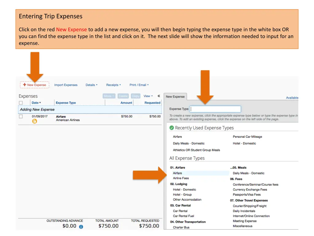 entering trip expenses