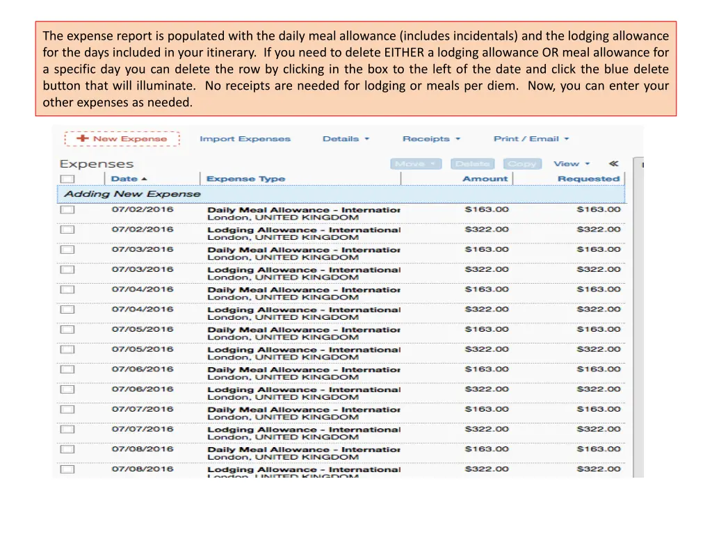 the expense report is populated with the daily