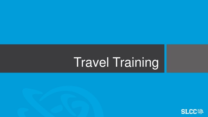 travel training