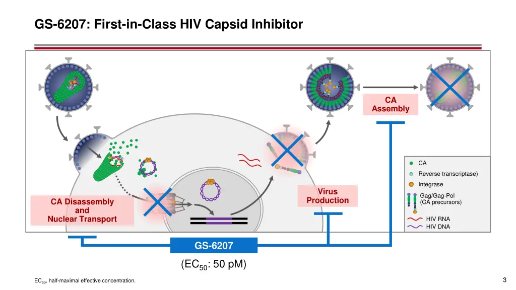 gs 6207 first in class hiv capsid inhibitor