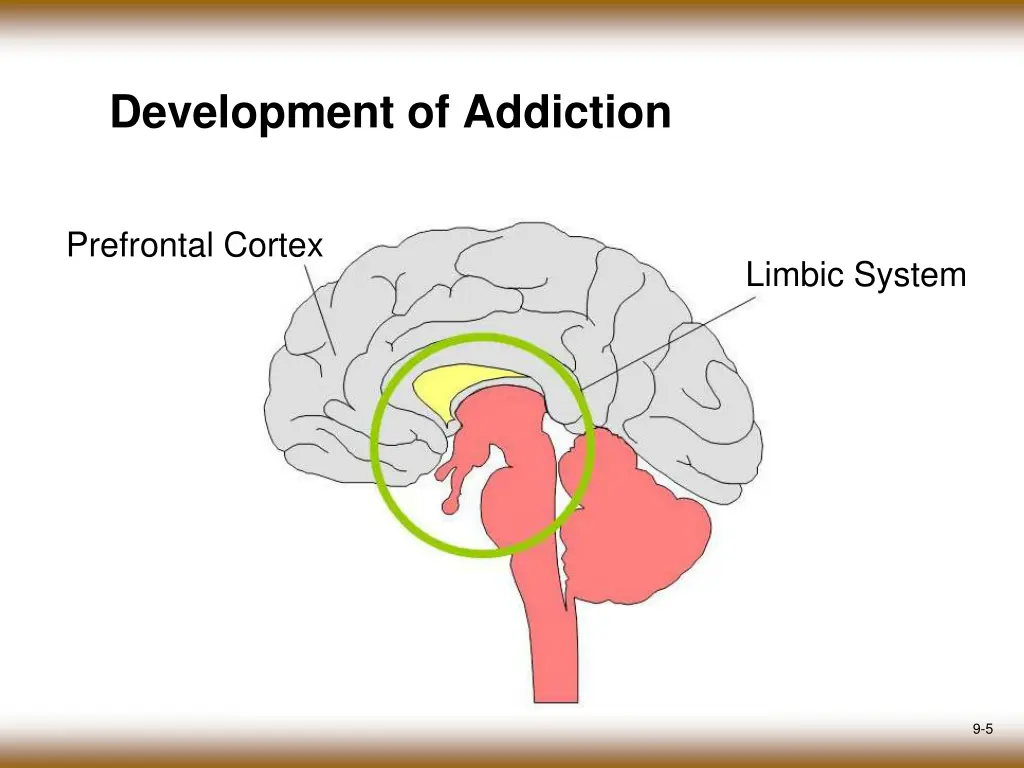 development of addiction