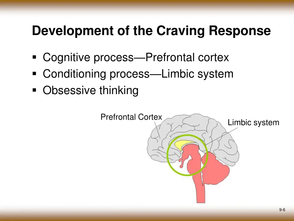 development of the craving response