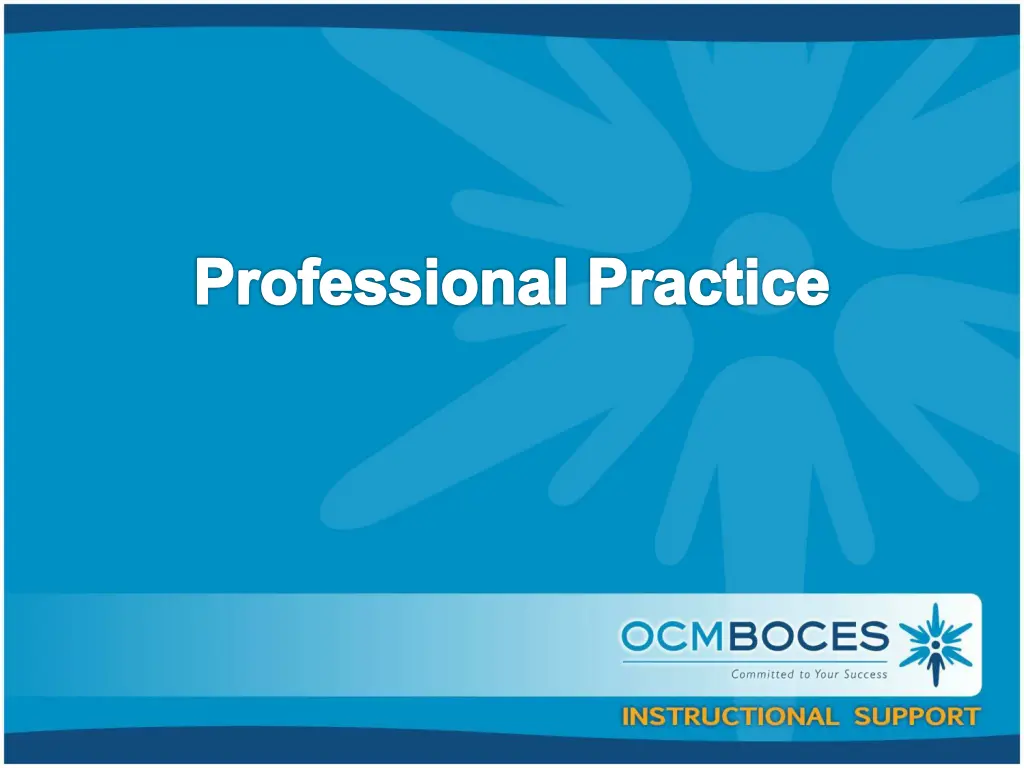 professional practice