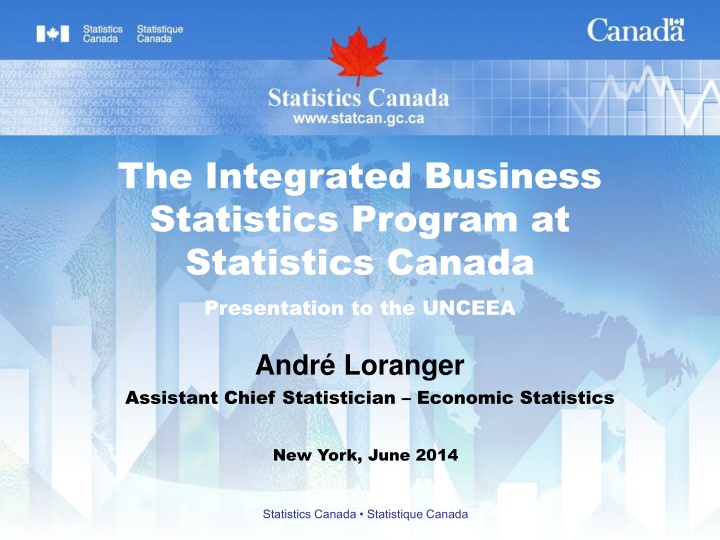 the integrated business statistics program