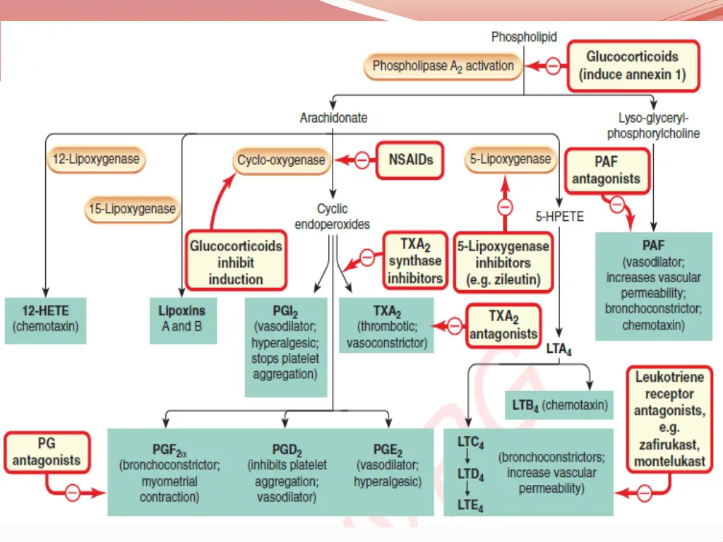 slide6