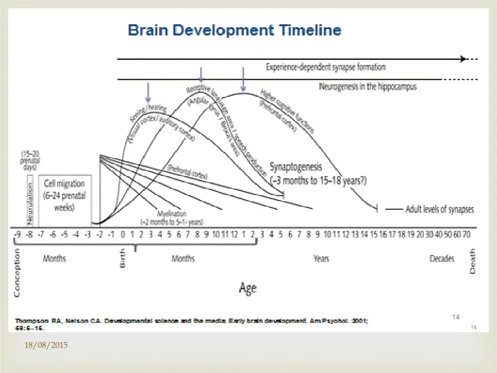 slide11