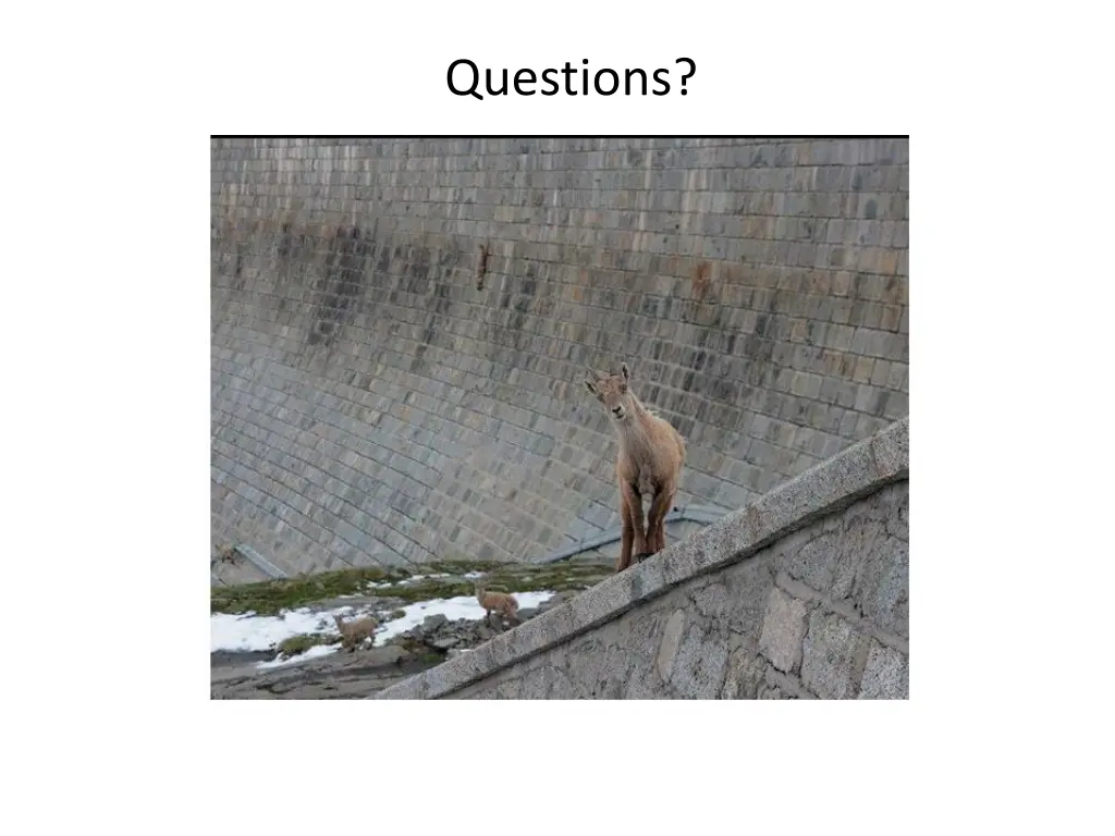 questions