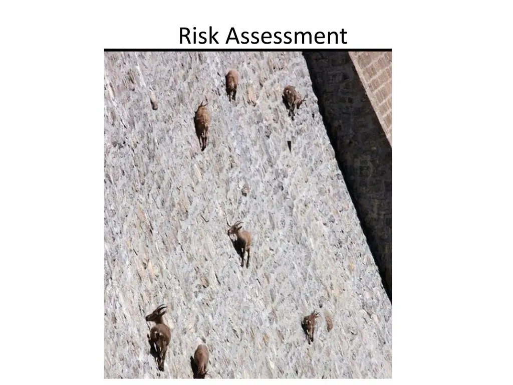 risk assessment 2