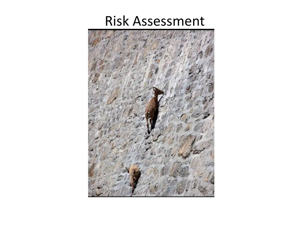 risk assessment 3