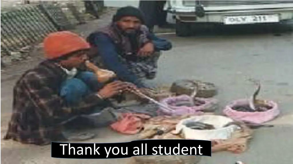 thank you all student