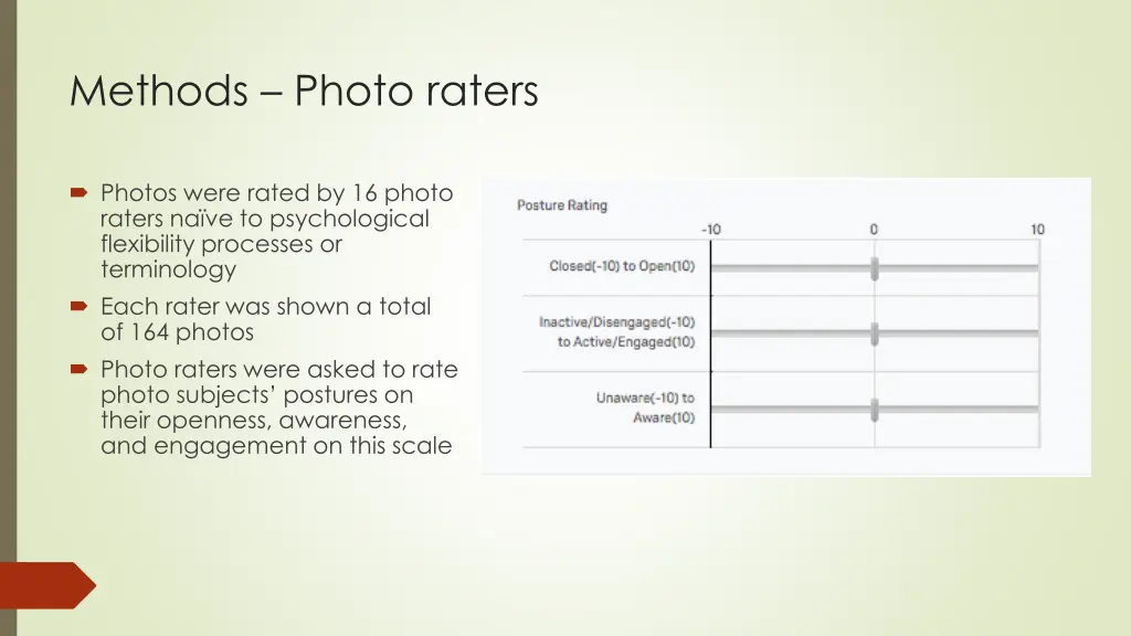 methods photo raters