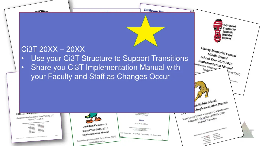 ci3t 20xx 20xx use your ci3t structure to support