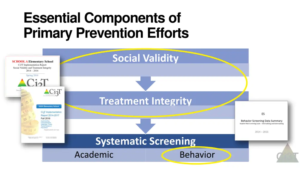 essential components of primary prevention efforts