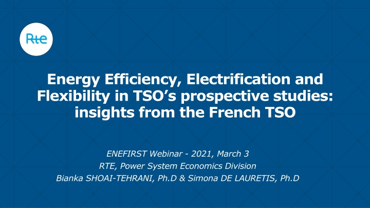 energy efficiency electrification and flexibility