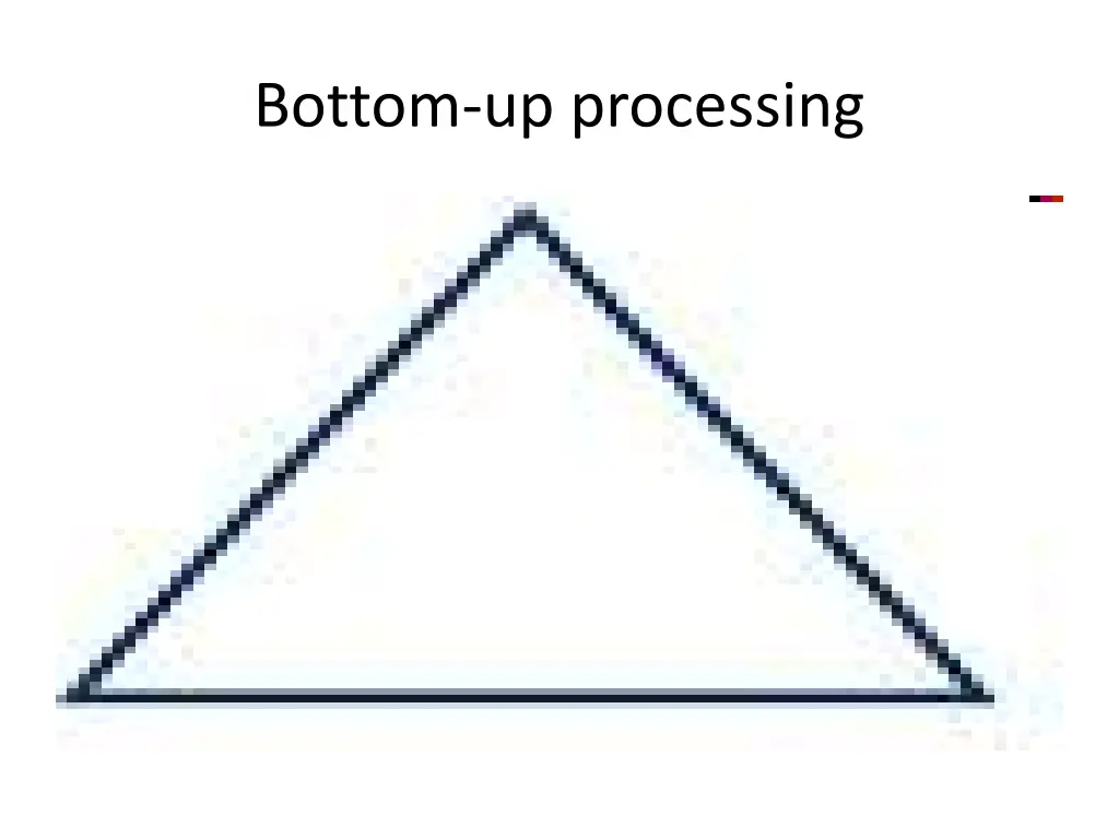 bottom up processing