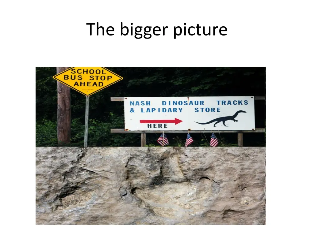 the bigger picture