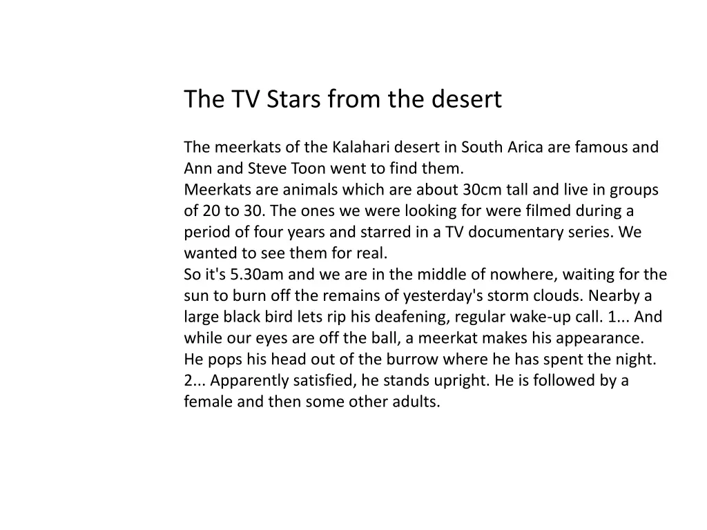 the tv stars from the desert