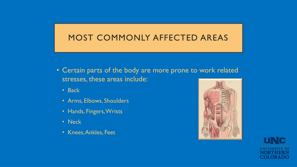 most commonly affected areas