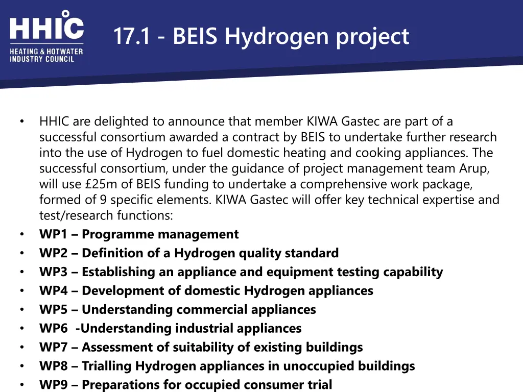 17 1 beis hydrogen project