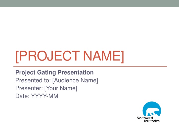 project name