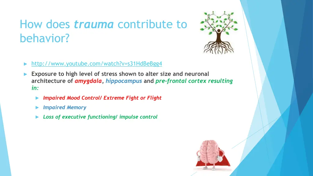 how does trauma contribute to behavior