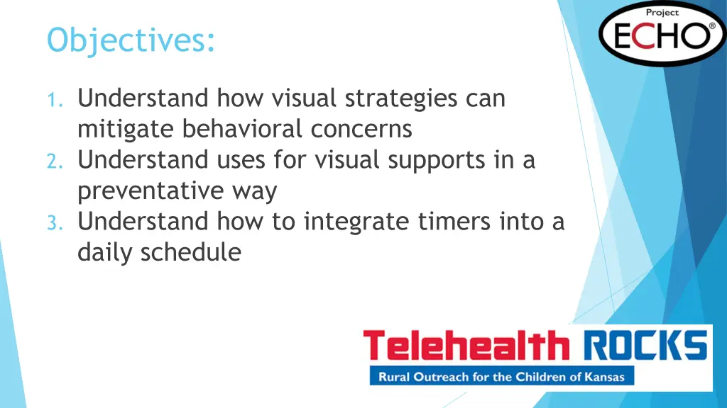 objectives