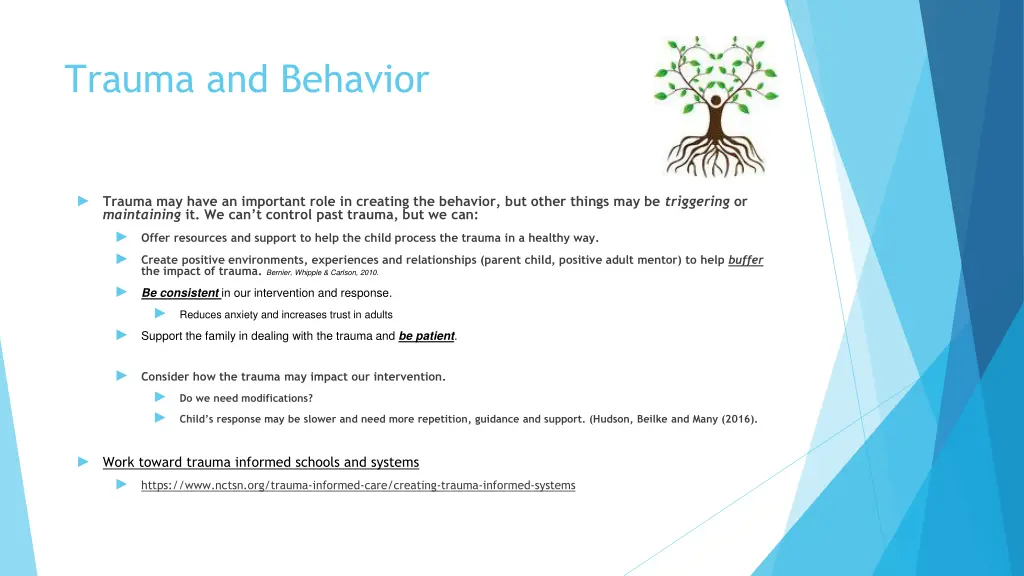 trauma and behavior