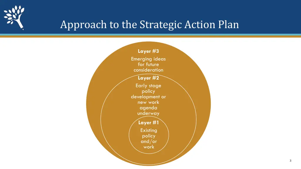 approach to the strategic action plan