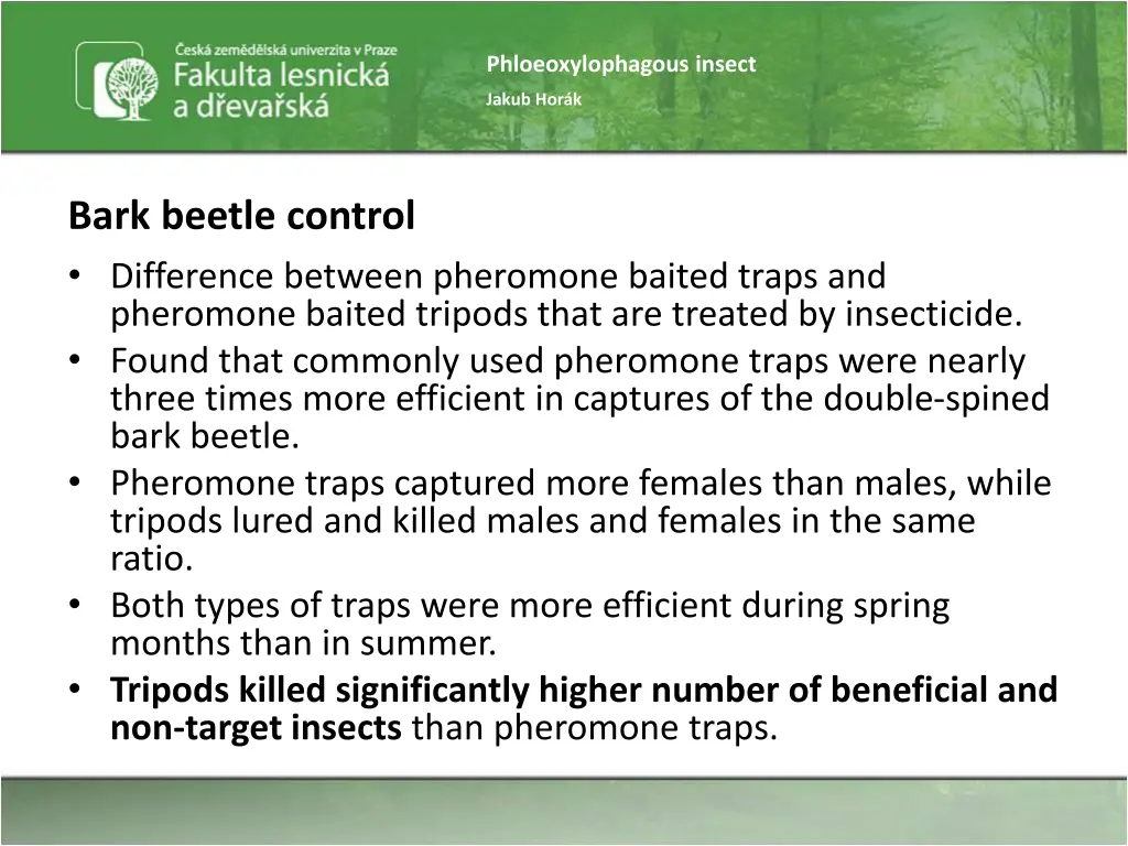 phloeoxylophagous insect 18