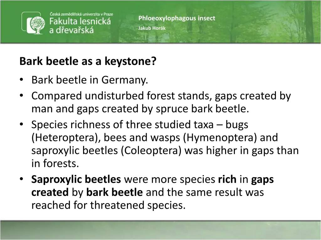 phloeoxylophagous insect 30