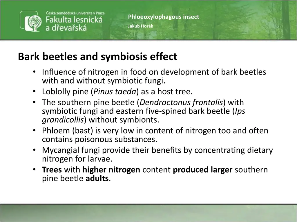 phloeoxylophagous insect 46