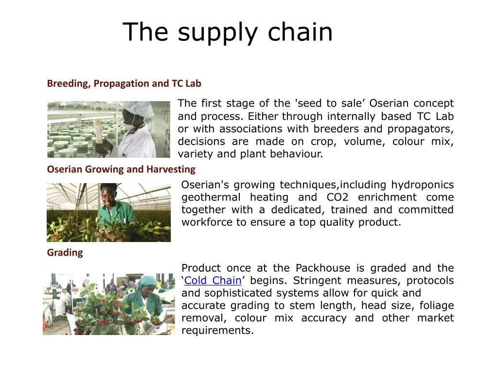 the supply chain