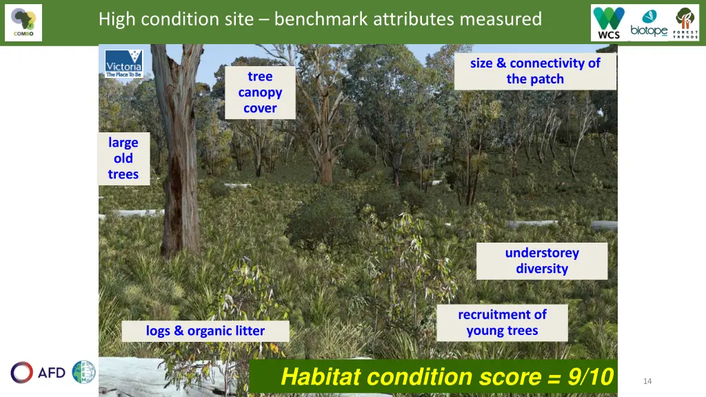 high condition site benchmark attributes measured