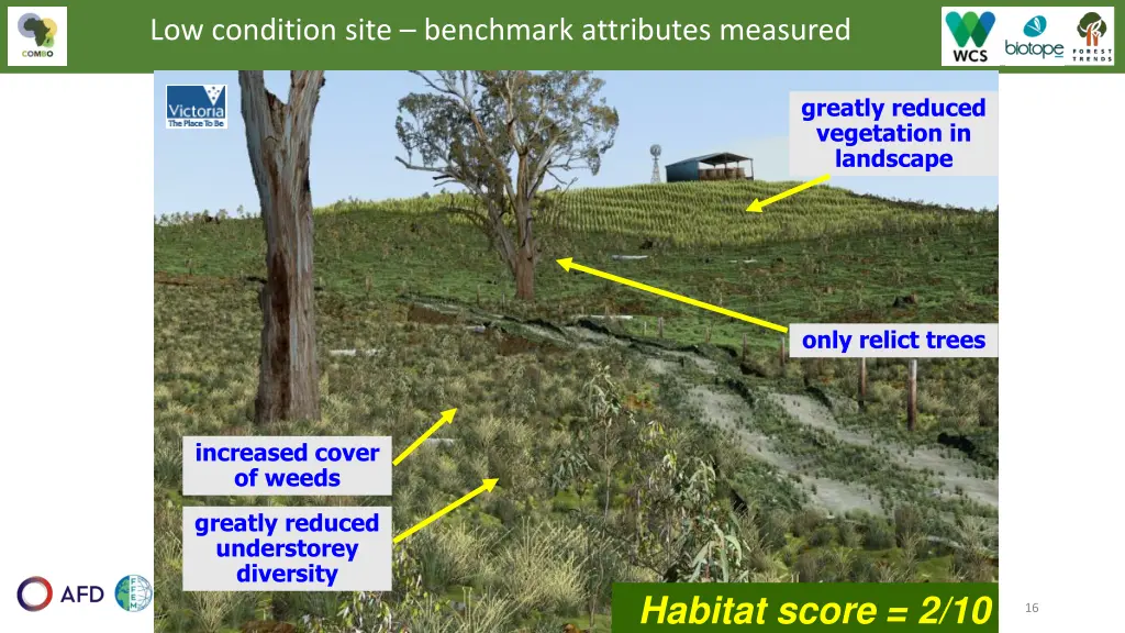 low condition site benchmark attributes measured