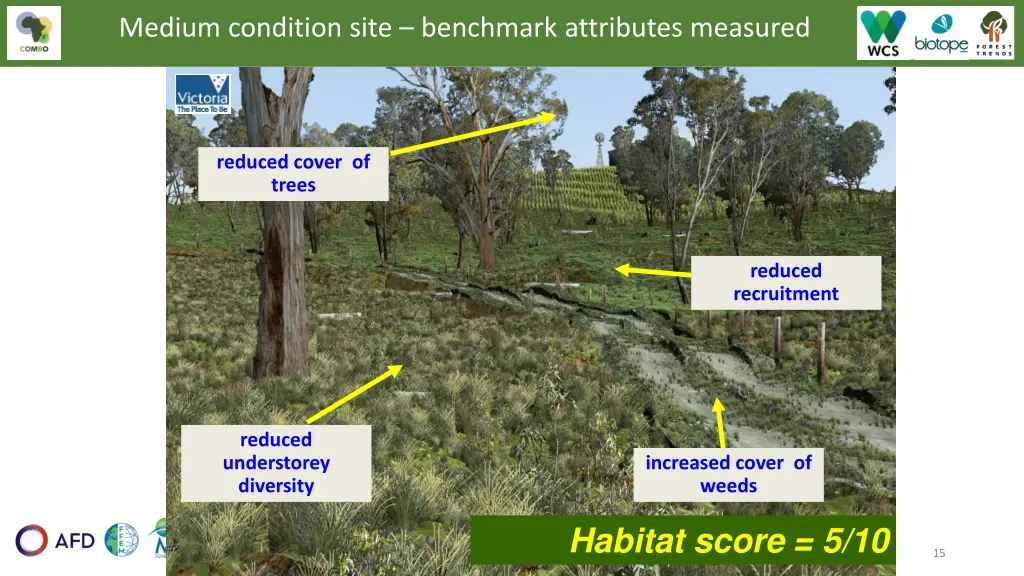 medium condition site benchmark attributes