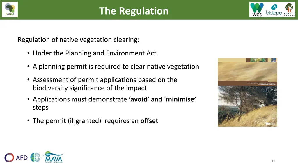 the regulation