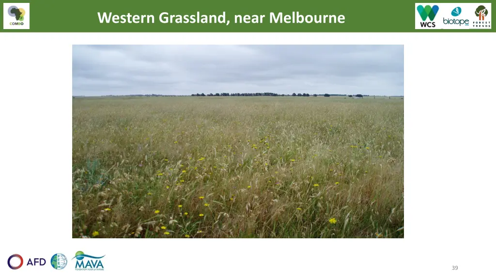 western grassland near melbourne