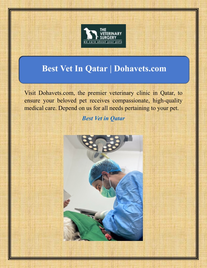 visit dohavets com the premier veterinary clinic