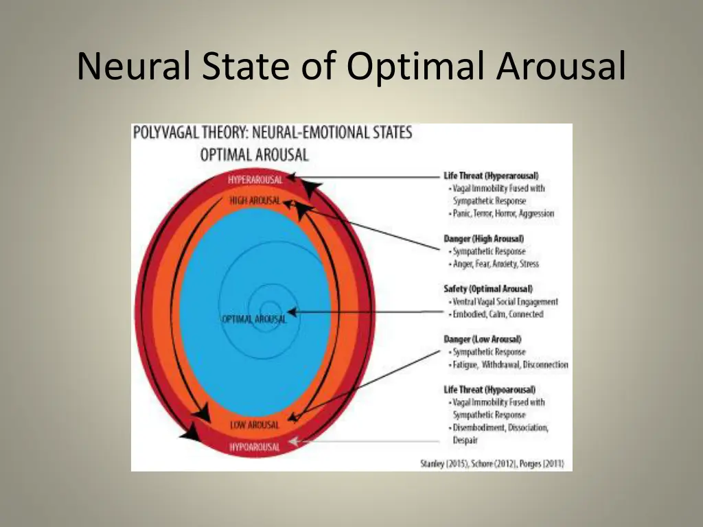 neural state of optimal arousal