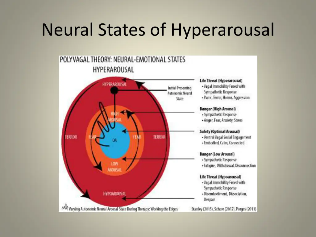 neural states of hyperarousal