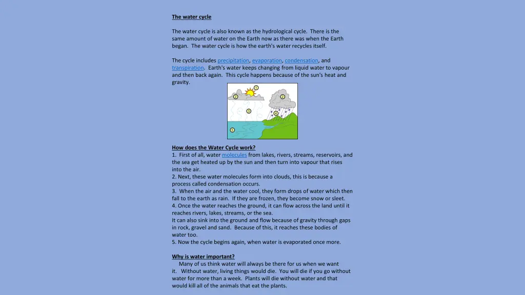 the water cycle