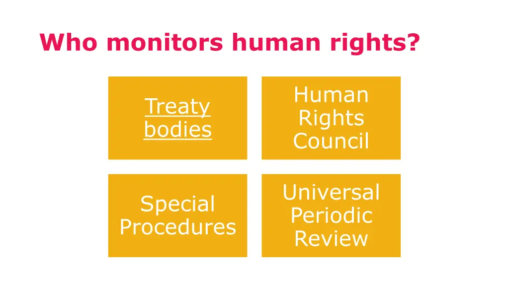 who monitors human rights