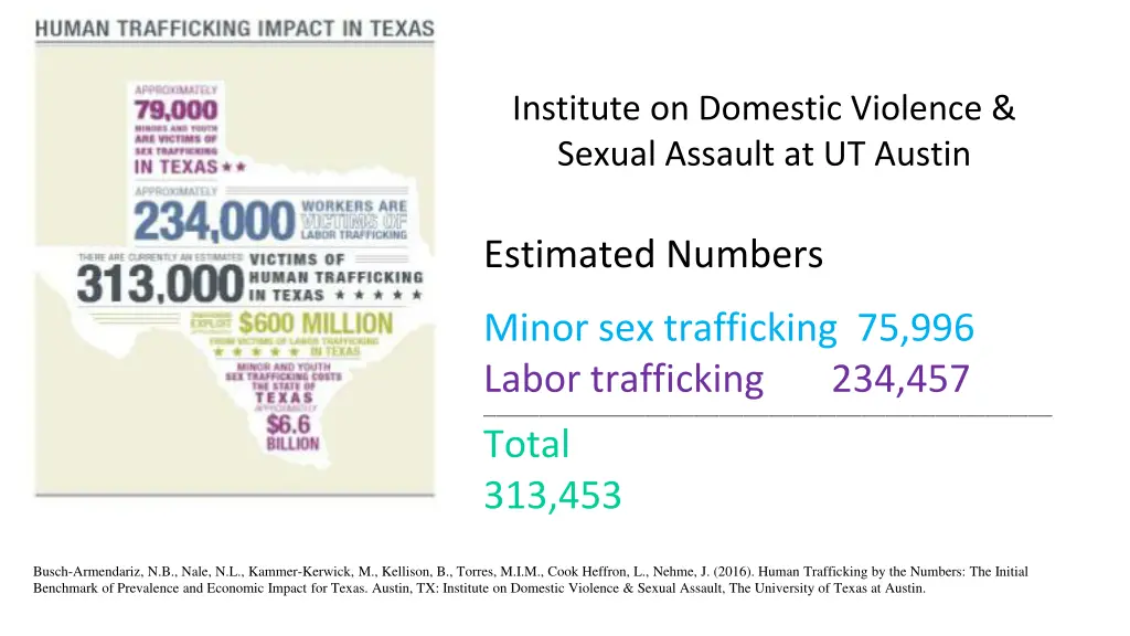 institute on domestic violence sexual assault